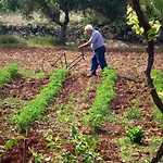 Masseria Uccio Nocleg ze śniadaniem 4*
