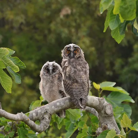 Masseria Uccio Tricase