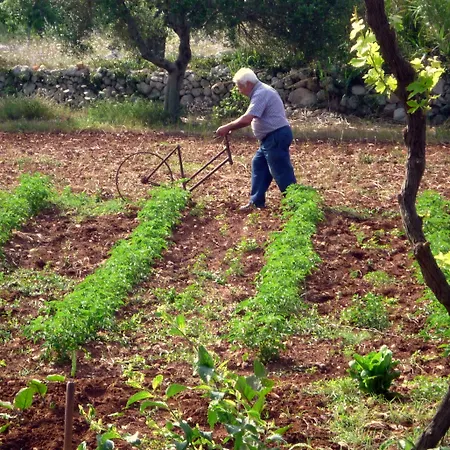 Masseria Uccio Tricase