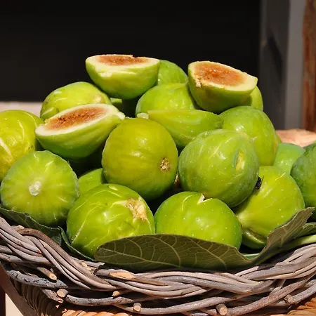 Alojamento de Acomodação e Pequeno-almoço Masseria Uccio Tricase