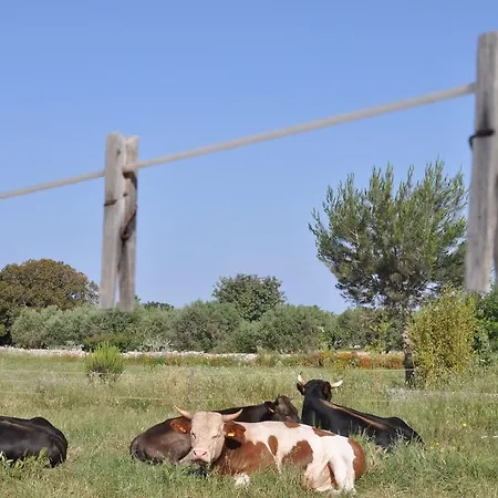 Oda ve Kahvaltı Masseria Uccio 4*