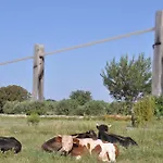 לינה וארוחת בוקר Masseria Uccio 4*