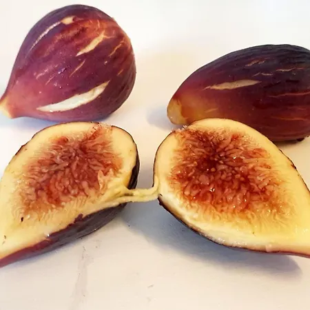 ベッド・アンド・ブレックファスト Masseria Uccio