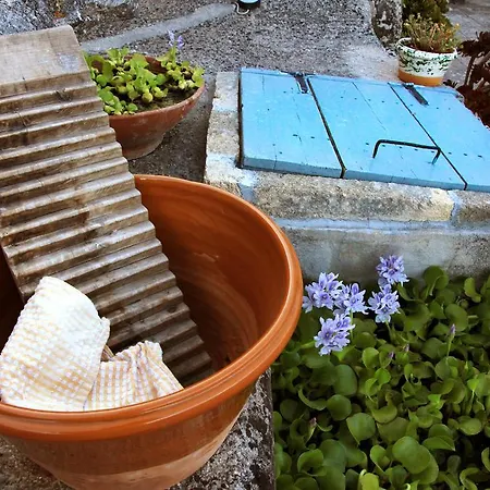 Masseria Uccio Bed & Breakfast 4*