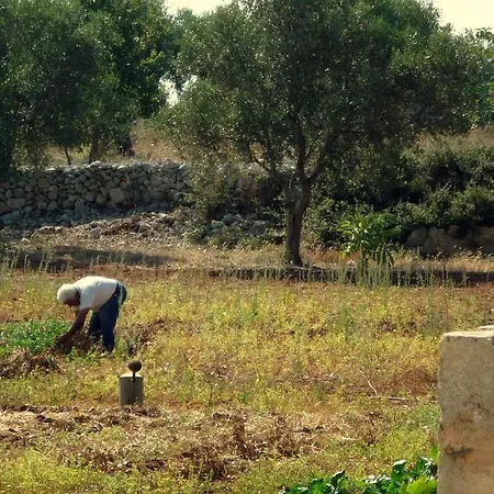 Frühstückspension Masseria Uccio Tricase