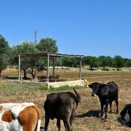 Frühstückspension Masseria Uccio