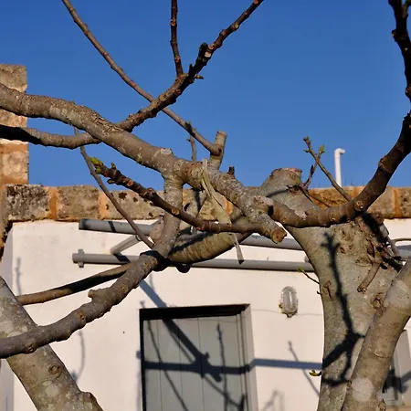 Masseria Uccio Frühstückspension