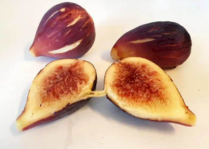 Bed & Breakfast Masseria Uccio