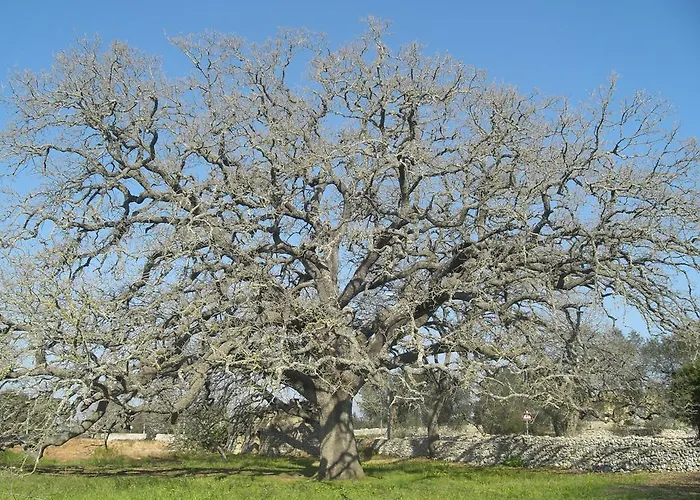 Masseria Uccio Panzió 4*