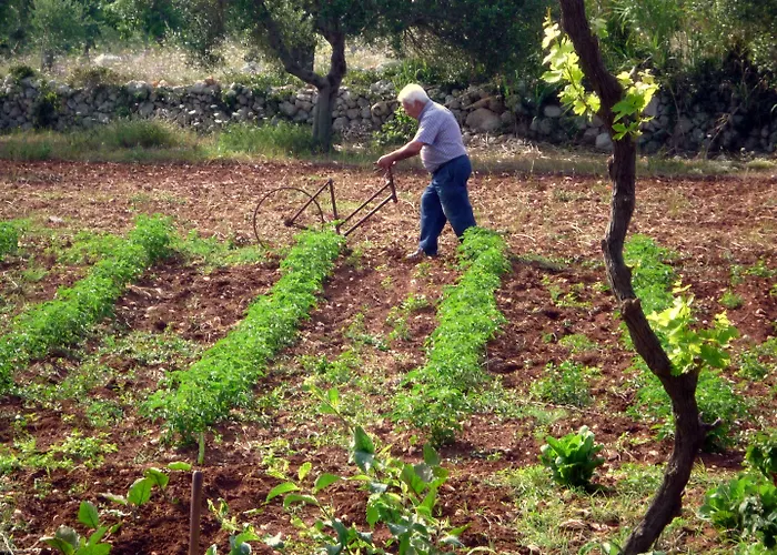 Masseria Uccio Tricase