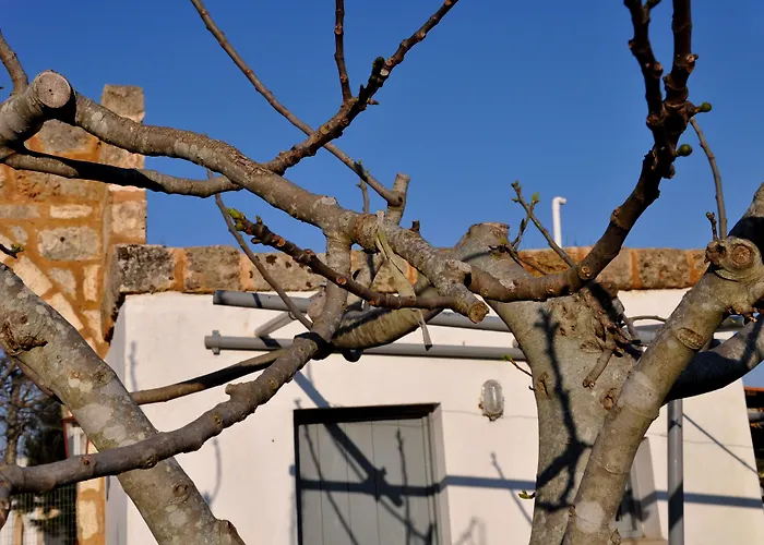 Masseria Uccio