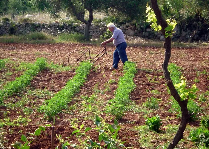 Masseria Uccio Couette-café 4*